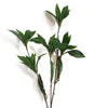 Pack of 6 x 55cm Artificial Laurel Leaf Spray Stem