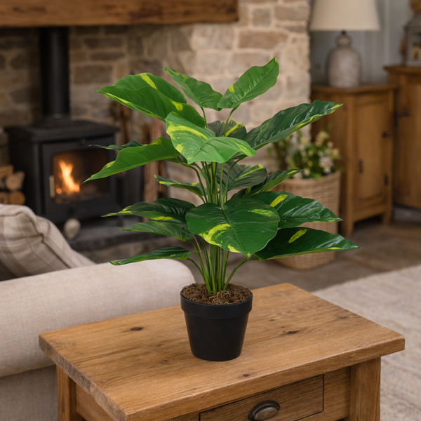 60cm Artificial Devil's Ivy (Scindapsus Aureus) Plant
