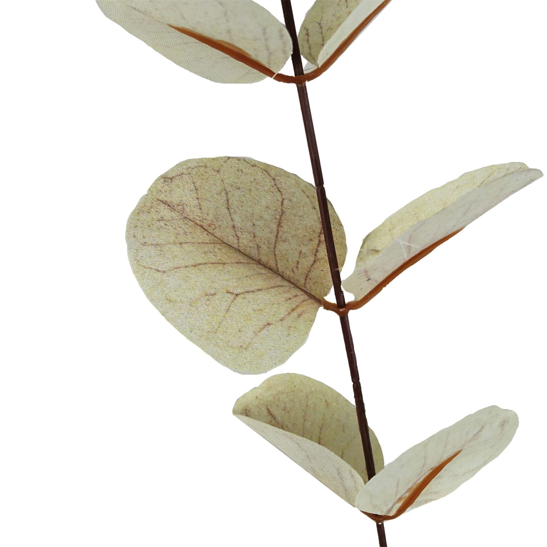 Pack of 6 x 80cm White Eucalyptus Foliage Stem - Premium Quality
