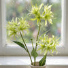 Pack of 6 x 72cm Artificial Lime Green Spider Lily Stems