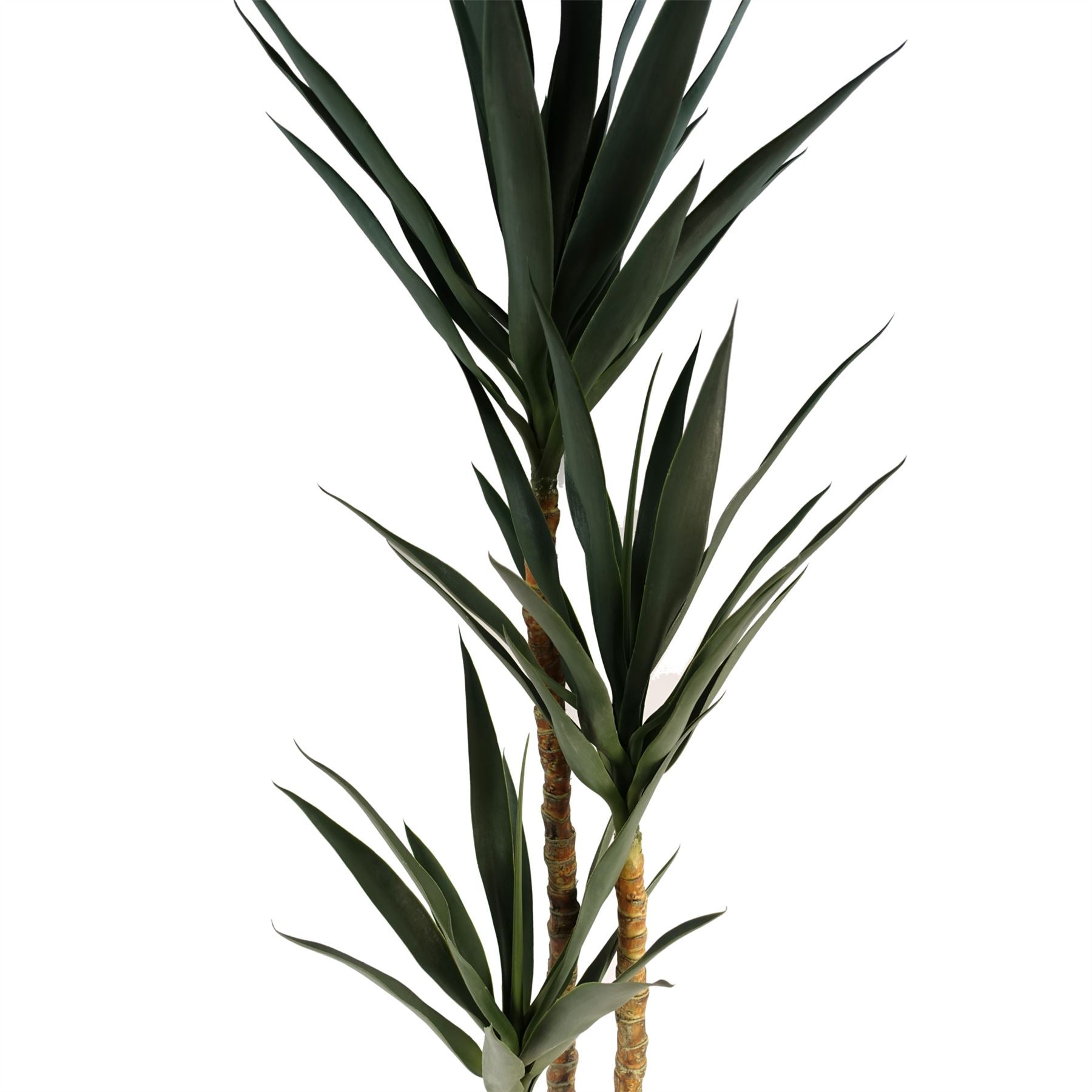 Artificial Tree Yukka Tropical House Plant 170cm Tall XXL Yukka Botanik