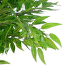 Artificial Ficus Tree Plant 100cm Ruscus Ficus Trunk