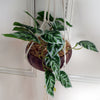 Artificial 85cm Hanging Potted Pothos Plant with Planter
