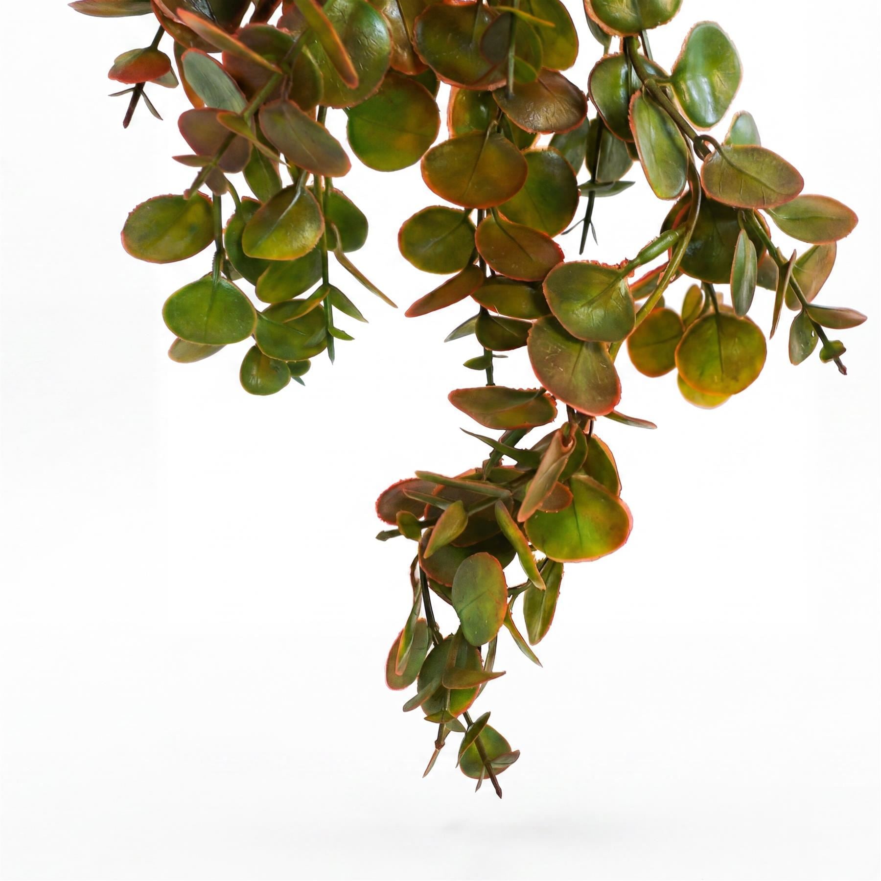 Pack of 6 x 75cm Artificial Trailing Round Leaf Hanging Foliage Plant - Autumn Green & Bronze