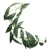 Leaf Artificial Hanging Plant Leaf Plant Pack x 6