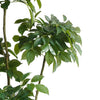150cm Radermachera Realistic Artificial Tree - Premium Quality