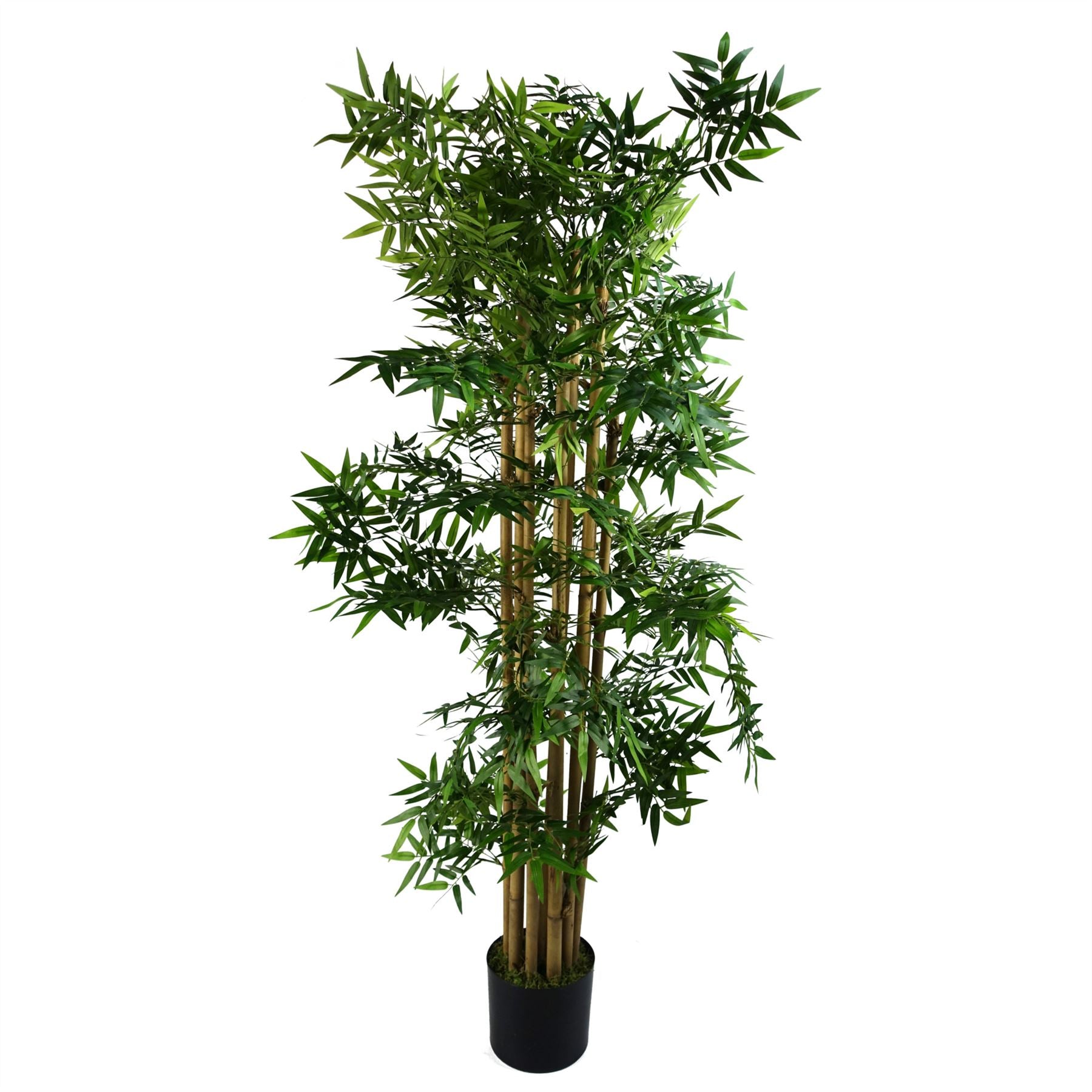 Artificial Oriental Bamboo Plant 150cm - Realistic plant by Botanik