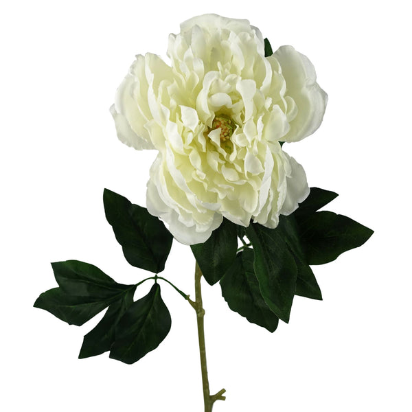 80cm Artificial White Peony Stem