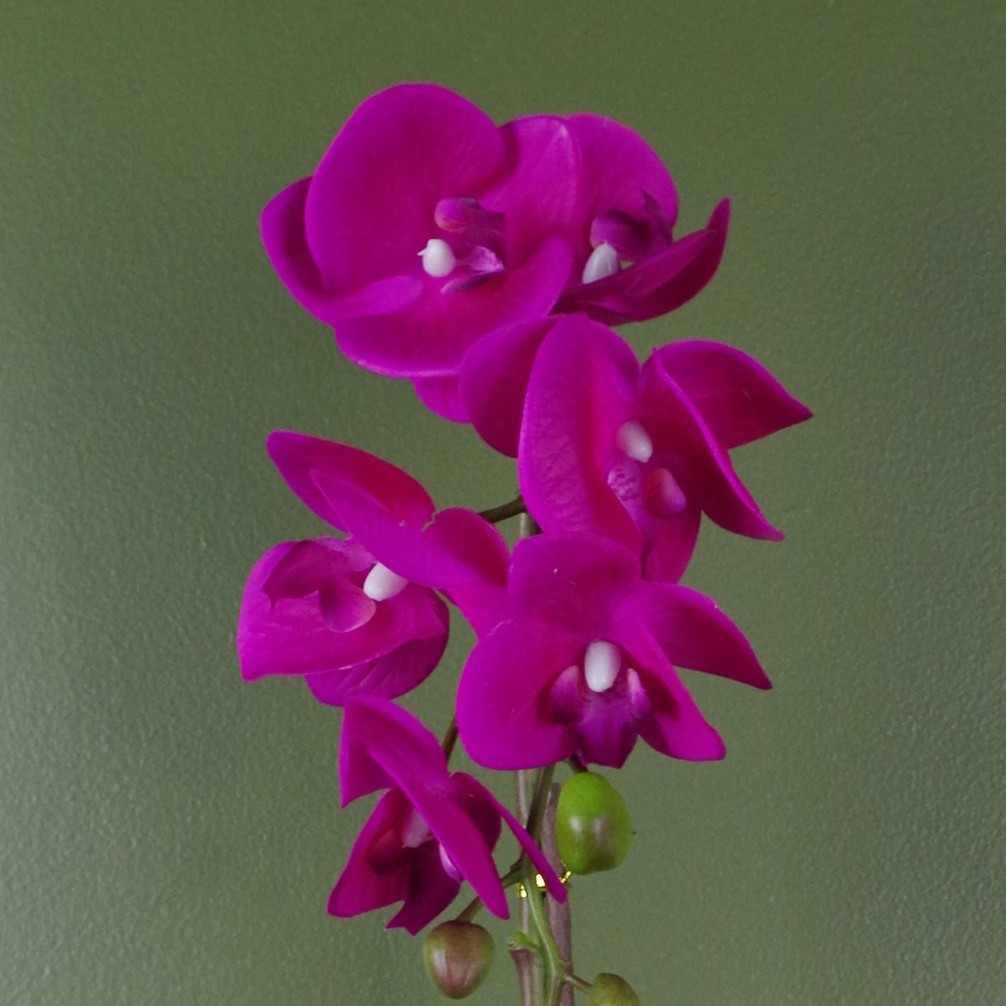 Artificial Orchid Dark Pink Silver 46cm Botanik