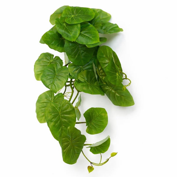 Pack of 6 x 25cm Artificial Trailing Arrowhead Vine Plant