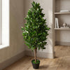 120cm (4ft) Artificial Topiary Bay Tree Pyramid Cone - Extra Large