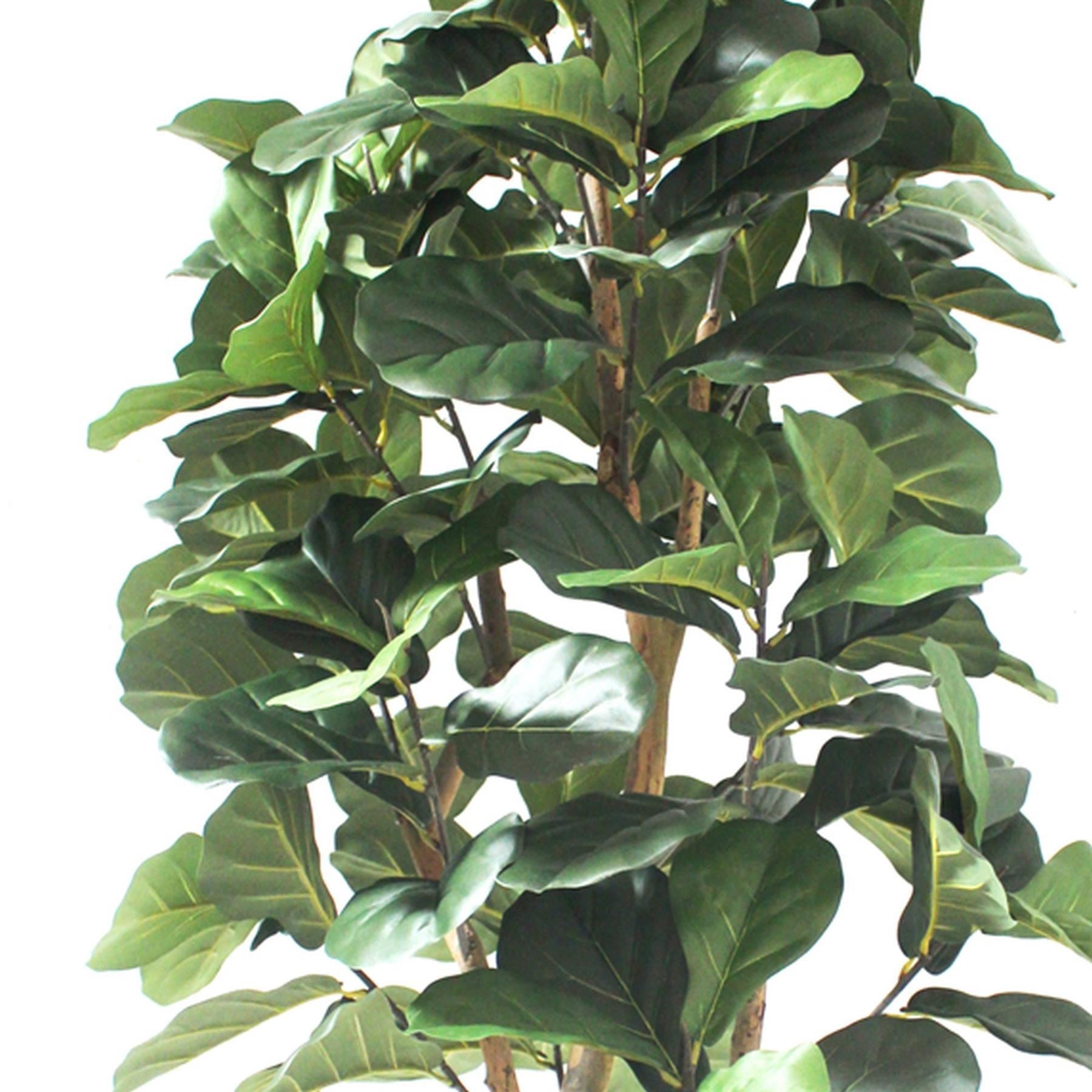 180cm Artificial Fiddle Fig Deluxe Tree - Premium Quality