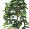 180cm Artificial Fiddle Fig Deluxe Tree - Premium Quality