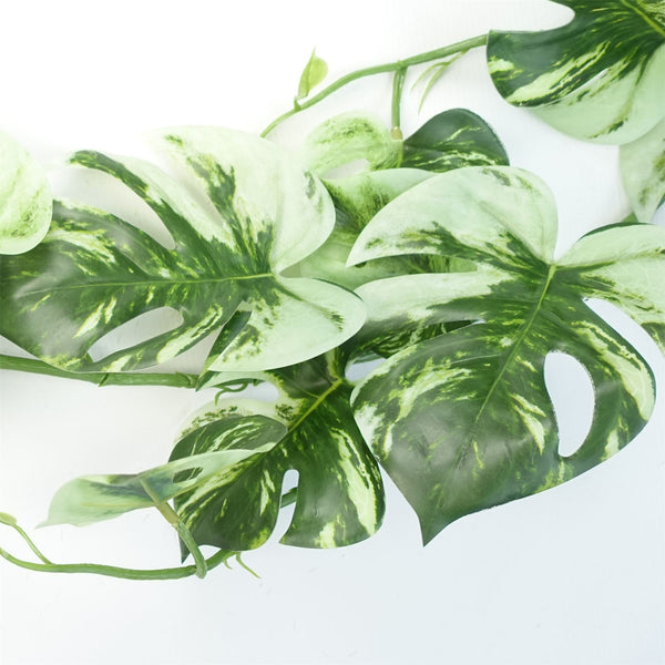 Artificial Hanging Plant Variegated Monstera Plant Pack x 6