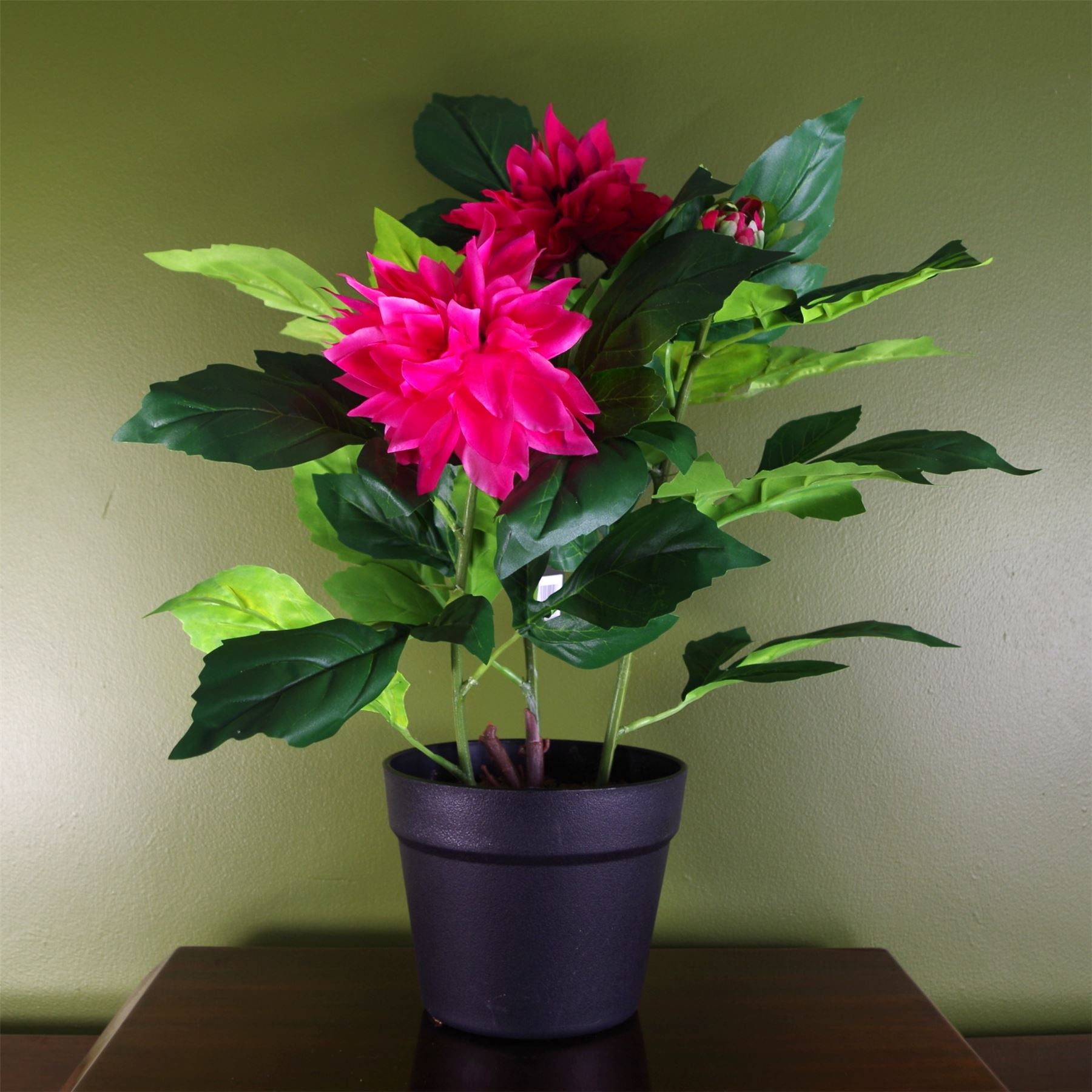 Artificial Dhalia  Plant Flowers Flowering Plant Pink Botanik