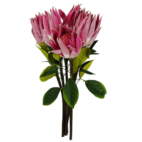 Pack of 6 x 65cm Protea Sugarbush Flower Stem - Pink - Premium Quality