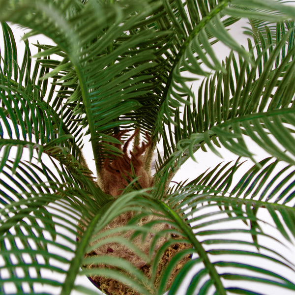 Artificial 60cm Cycas Palm Plant Tropical Tree