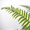 Artificial Fern Plant Realistic 50cm Artificial Boston Fronded Fern Plant Botanik