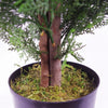 120cm Pair of Artificial Cypress Topiary - Premium Quality