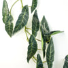 Leaf Artificial Hanging Plant Leaf Plant Pack x 6