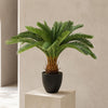 70cm Artificial Tropical Cycas Palm Plant