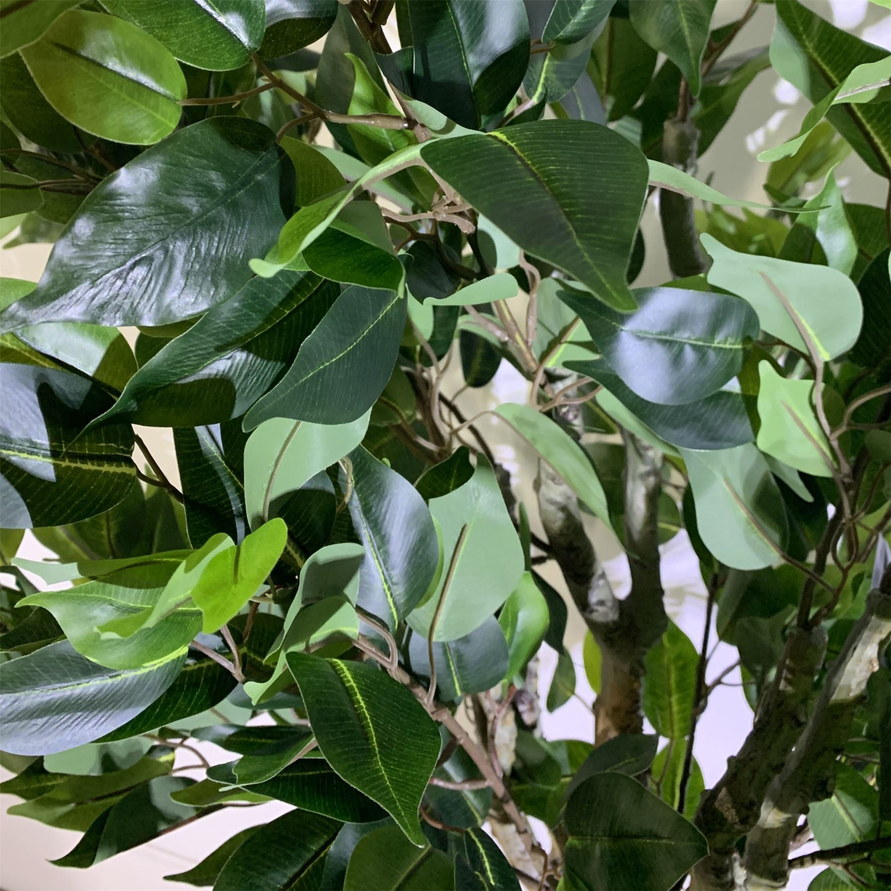 Leaf 100cm Leaf Artificial Ficus Tree Ficus