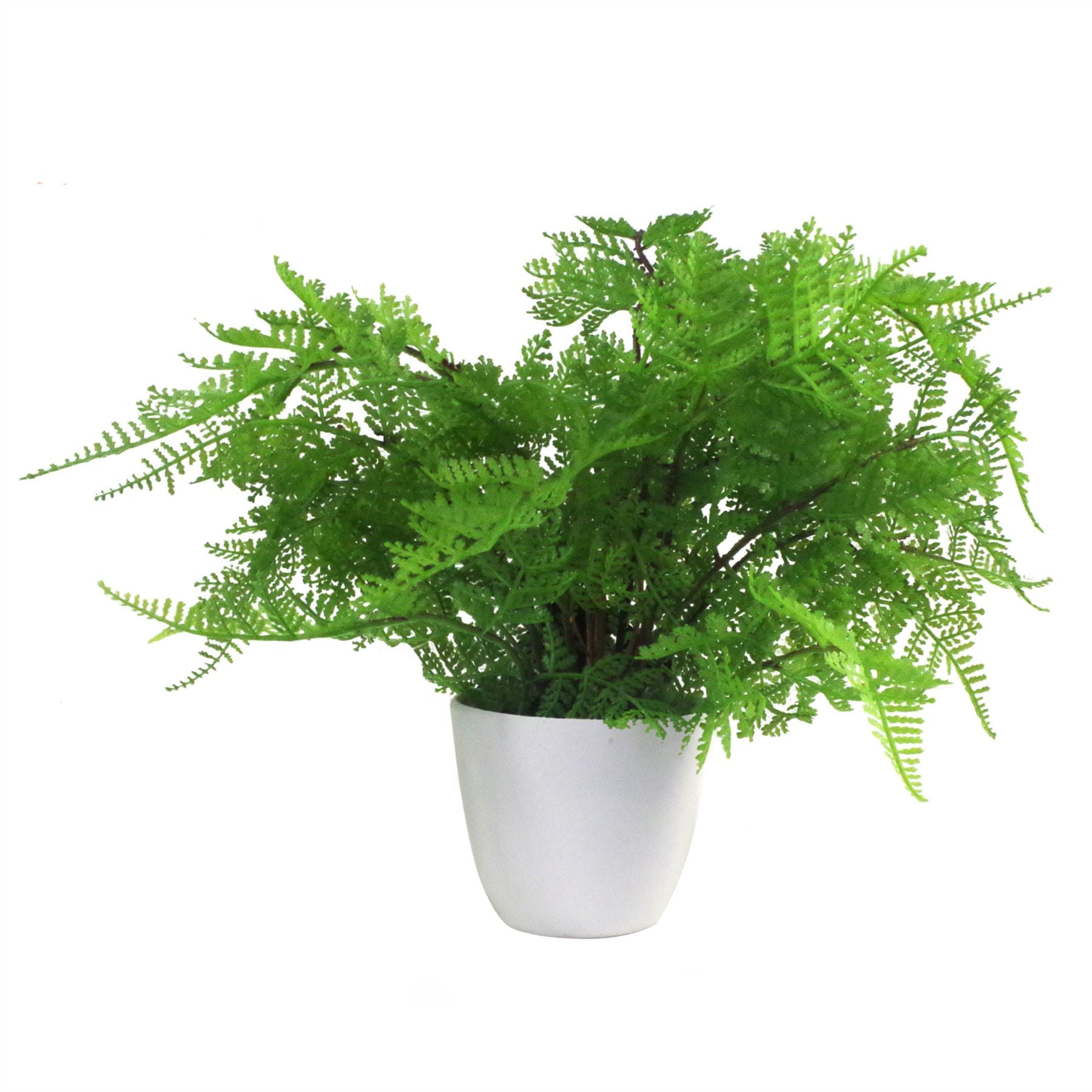 Artificial Fern Plant Pot Lady Fern 30cm Leaf Design UK Realistic Plants Botanik