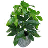 50cm Artificial Money Tree Plant Pachira