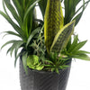 100cm Artificial Yukka Display in Pot Artificial - Premium Quality