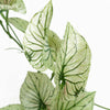 Artificial Trailing Plant Variegated Potted Alocasia Botanik