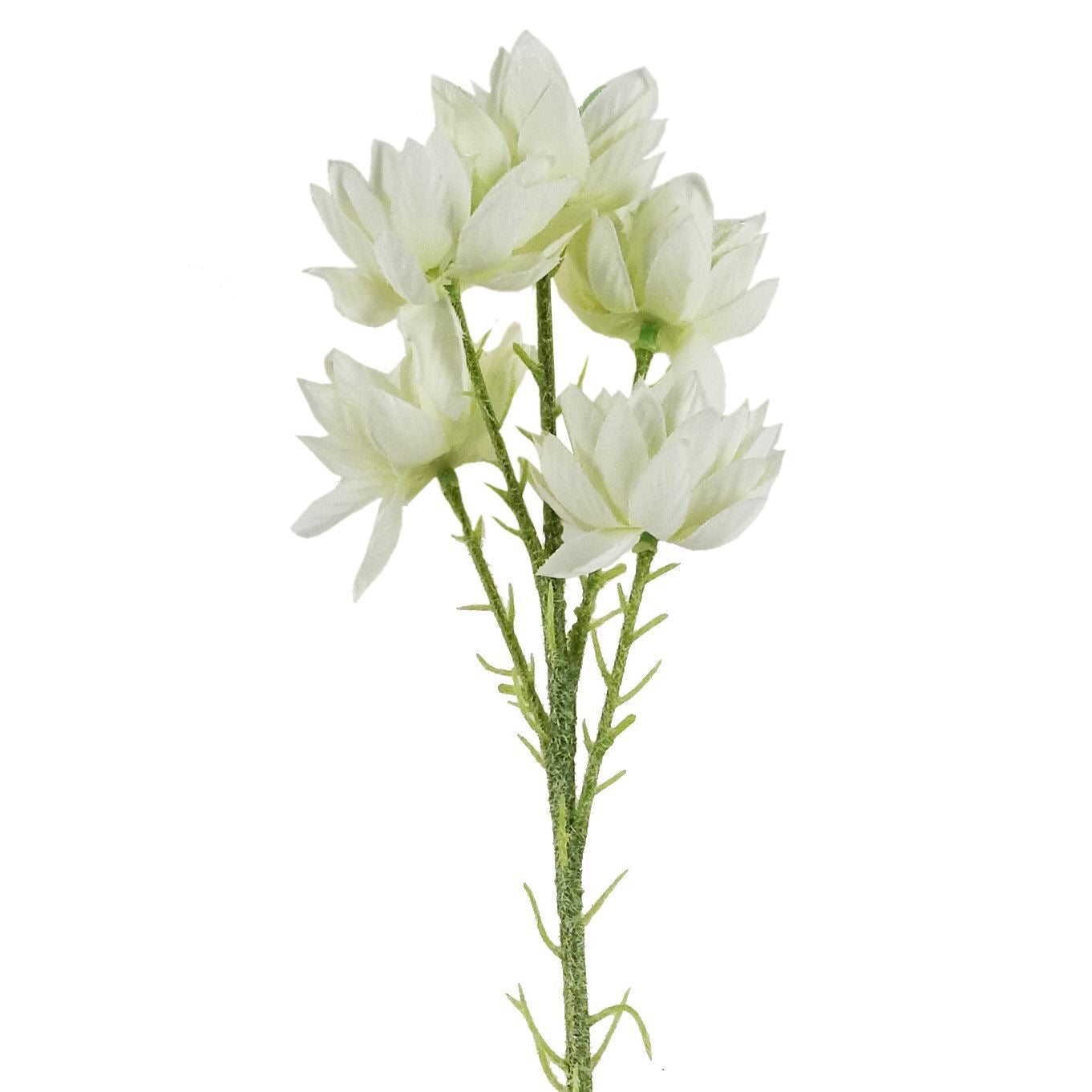 Pack of 6 x 60cm White Starflower Stem - 30 Flowers - Premium Quality