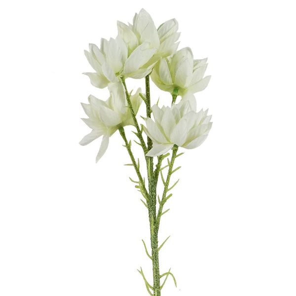 Pack of 6 x 60cm White Starflower Stem - 30 Flowers - Premium Quality