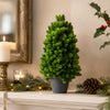 34cm Artificial Mini Pine Tree in Grey Pot