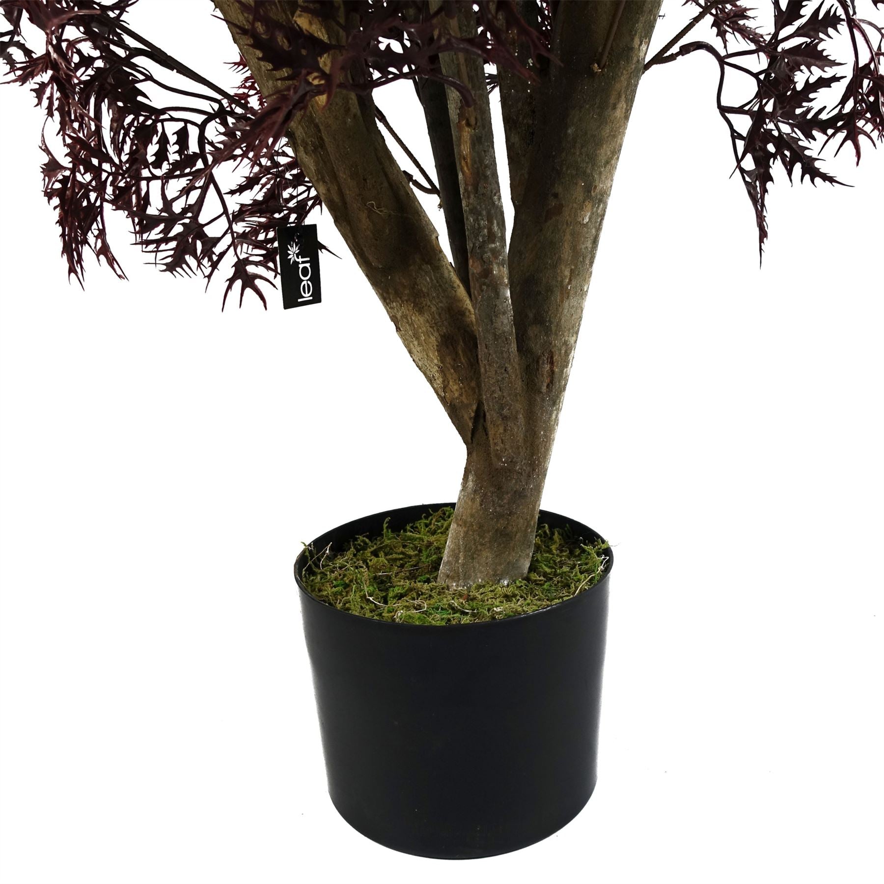 Red Aralia Tree Artificial UV Resistant Outdoor 120cm  - Realistic plant by Botanik