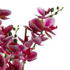 Artificial Orchid Flower Plant 70cm Dark Pink Black Ceramic Planter