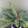 Artificial Fern Bush in Decorative Planter Botanik