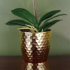 Artificial 50cm Phalaenopsis Orchid - Red Leopard - Gold Pot