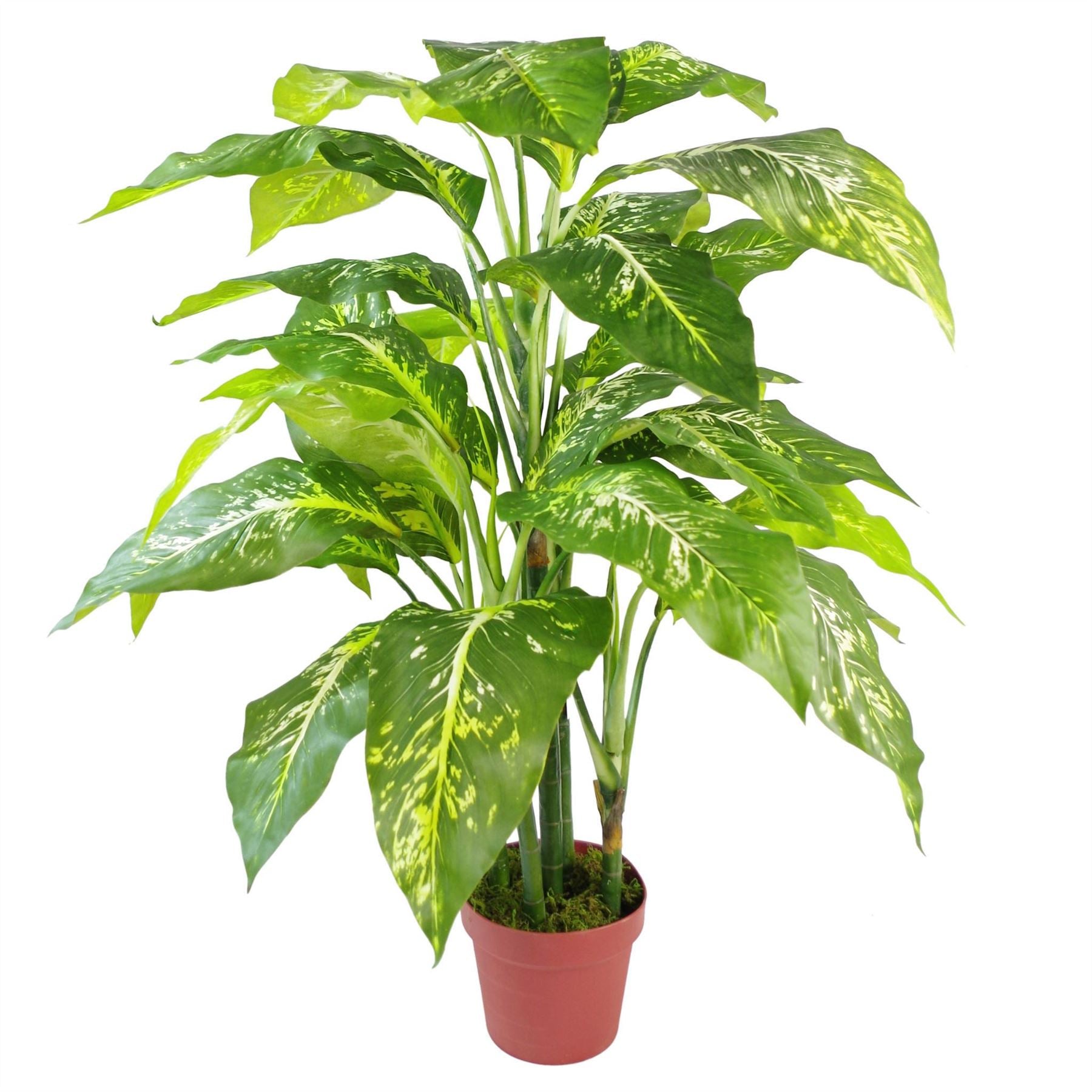 Artificial 100cm Large Fox's Aglaonema (Spotted Evergreen) Tree Plant