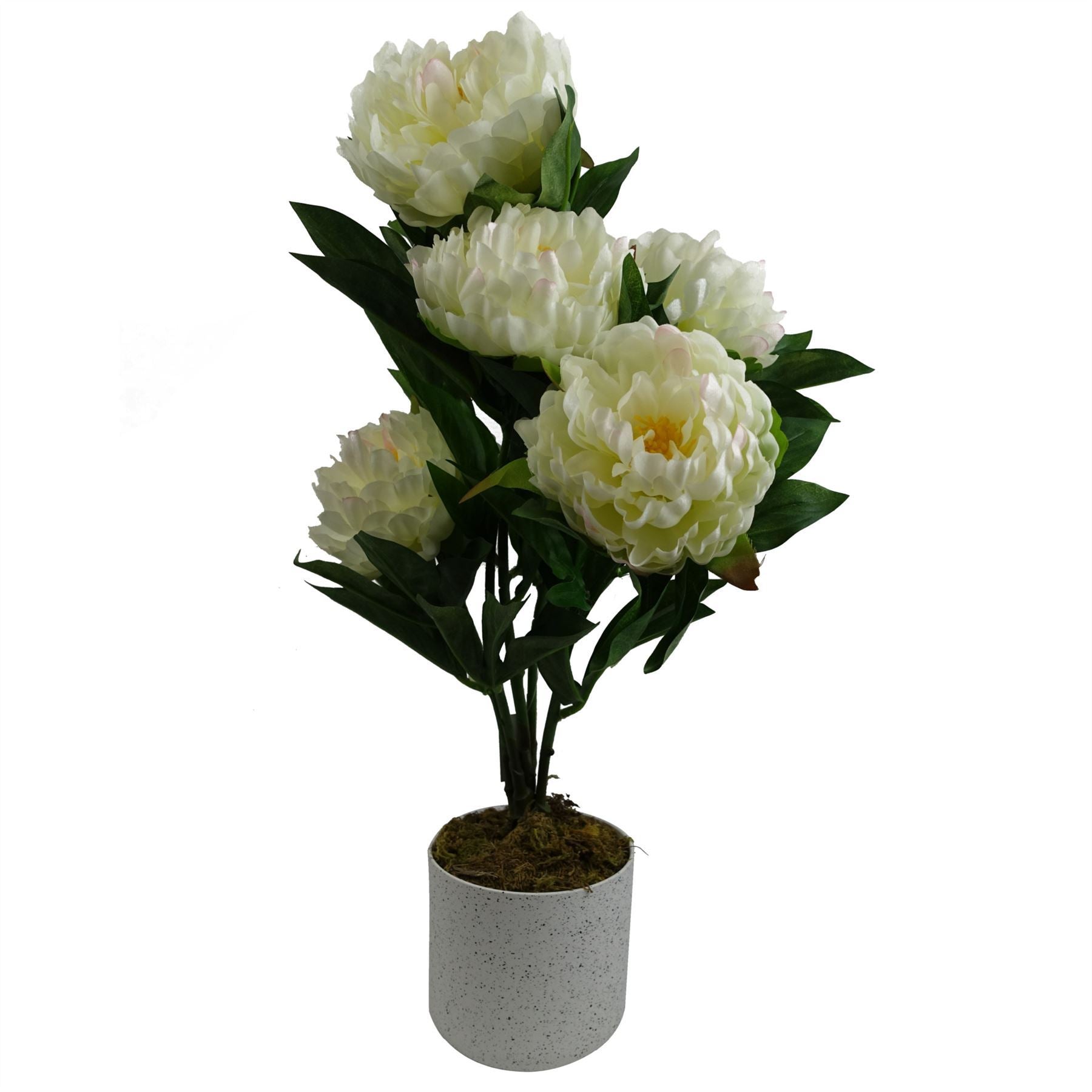 55cm Artificial White Peony Plant - Premium Quality