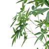 210cm Artificial Money Tree Pachira Realistic Faux Tree - Premium Quality