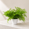 Artificial Fern Plant 30cm Fern 30cm Display