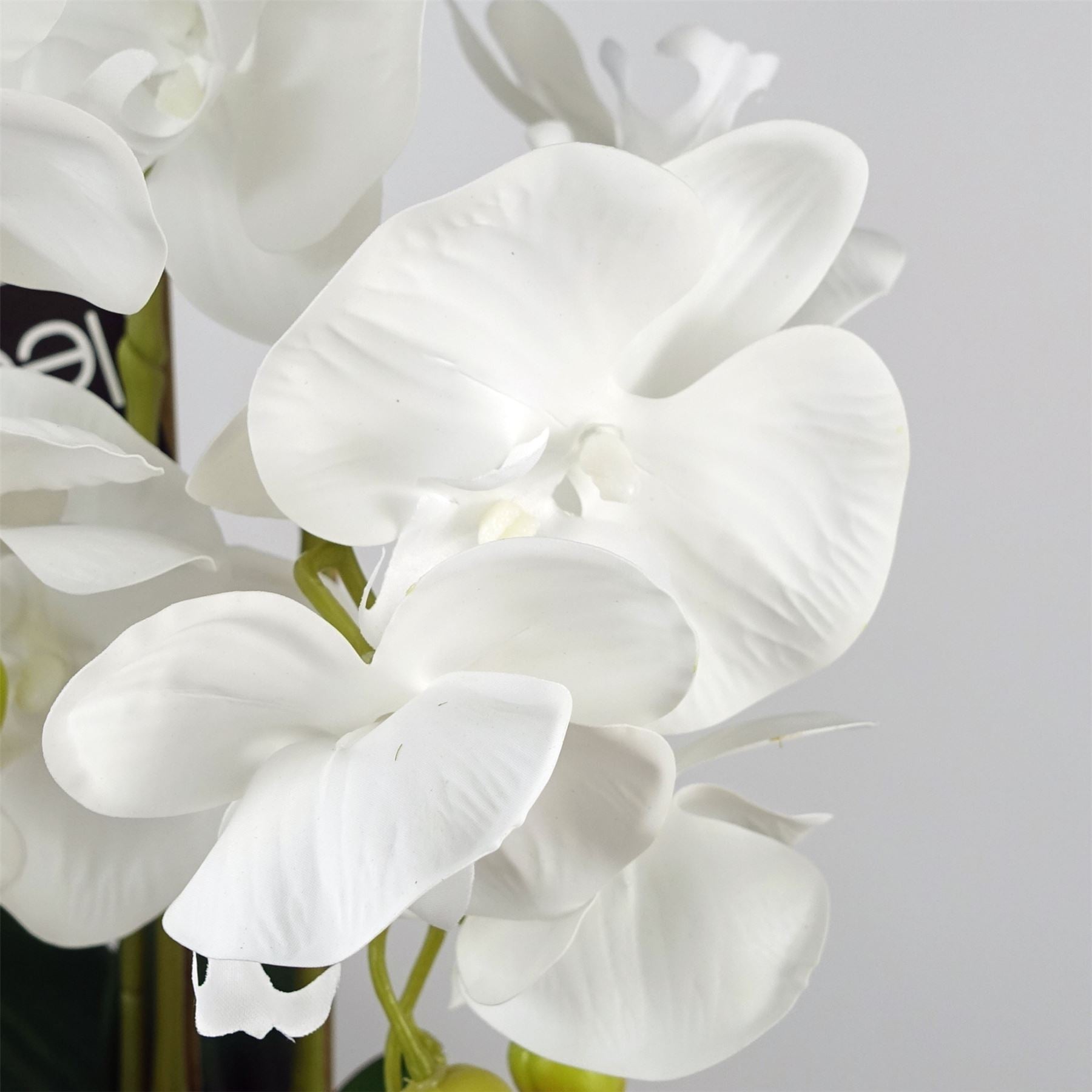 Artificial White Orchid with Ceramic Bubble Planter Botanik