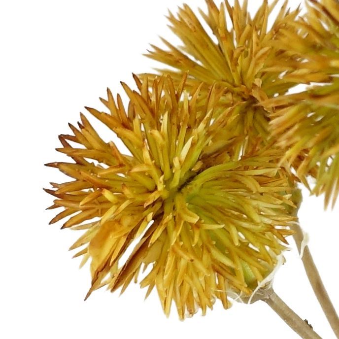 Pack of 6 x 85cm Craspedia Stem Yellow Artificial - Premium Quality