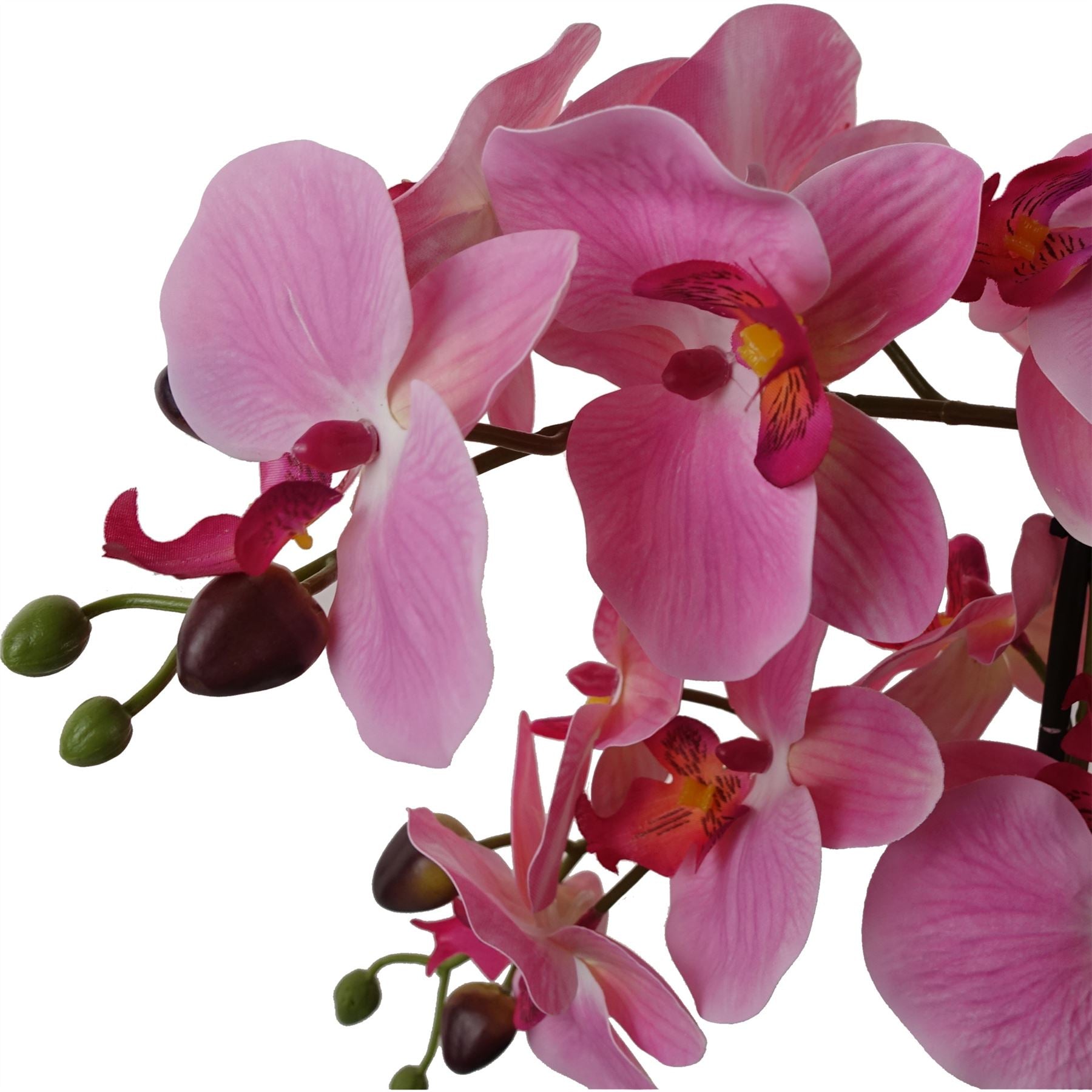 Artificial Orchid with Glass Planter Pink Botanik