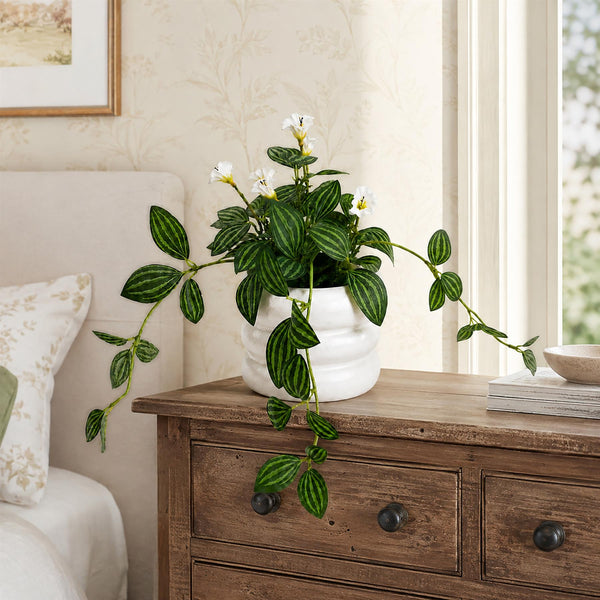 45cm Artificial Trailing Striped Leaf Plant with White Flowers in White Pot