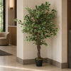 Artificial Ficus Tree Plant White Edge Twist 130cm Realistic House Plants Botanik
