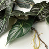 120cm Artificial Hanging Trailing Plant Alocasia Dragon Scale Dark