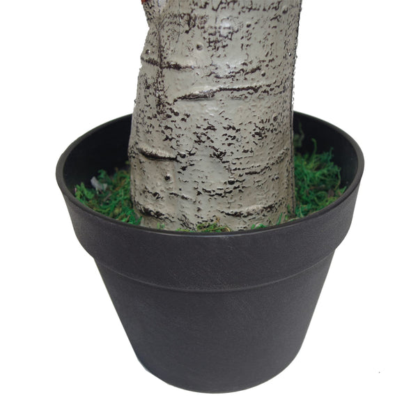 75cm Artificial Dracaena Plant - Wide Trunk Triple Branch