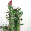 Artificial 100cm Premium Cactus with pot