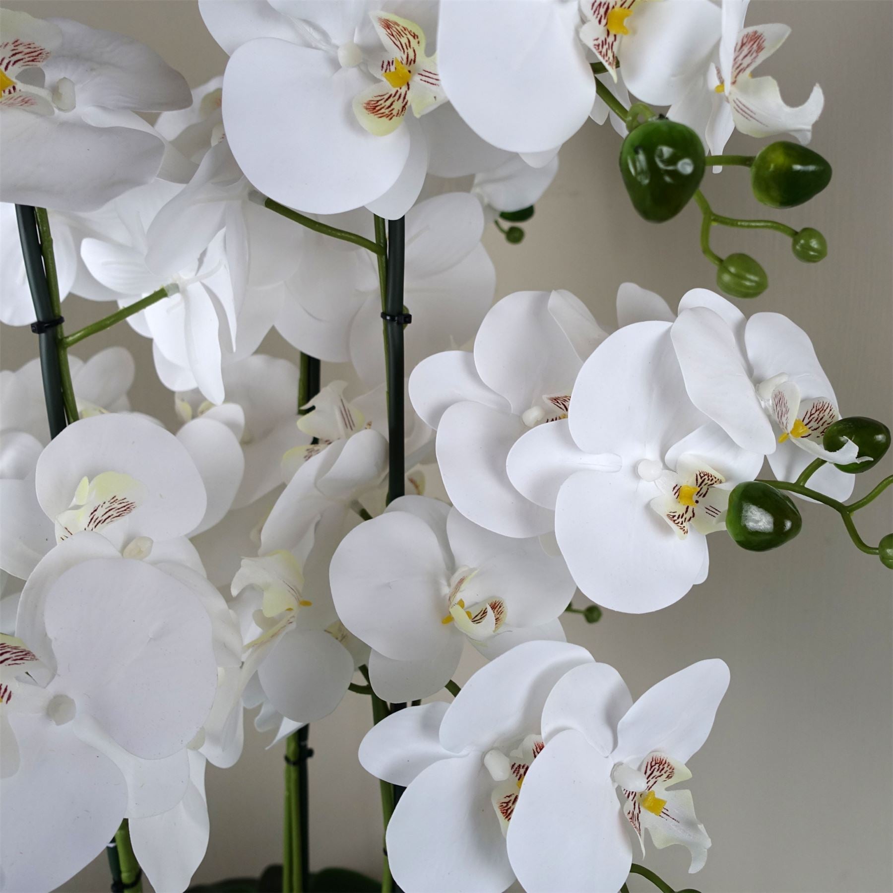 Orchid Artificial White Black Ceramic Planter Botanik